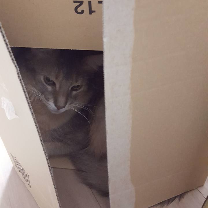 28410270 8ba4 43ad 85c7 f24e6ef6c3a1 1586167202750