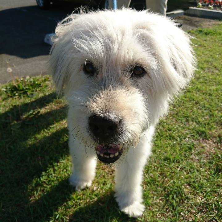 28412b64 d7be 49ff b6f9 63b0eab6ab13 1592728764139