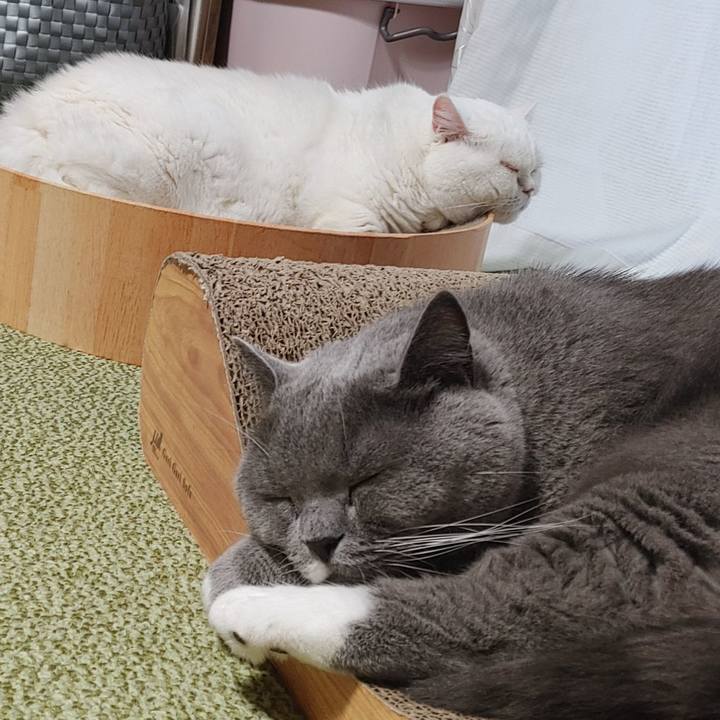 28412ebc d2e6 4b9e bcd8 267845259dbb 1663972472351