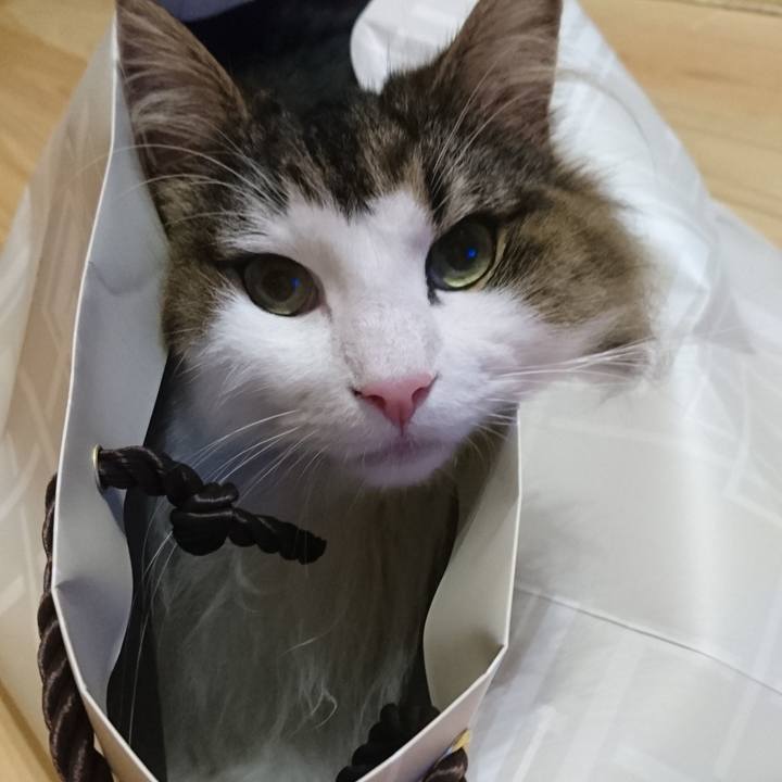 28416076 540c 42aa 8ee5 2573814e78df 1757315713857