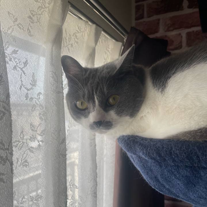 28416cca c128 43c5 bb3d 53f0405a673a 1686269801746