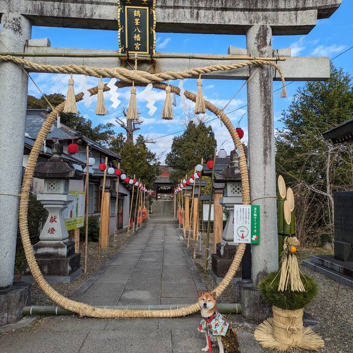 2841f418 ec2f 4ab7 a0af 41ff4ec866ff 1704641840947