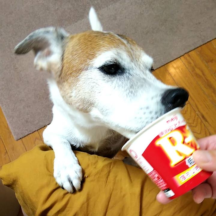 28420331 abf0 42a1 9216 9f1260b648a0 1535927606793