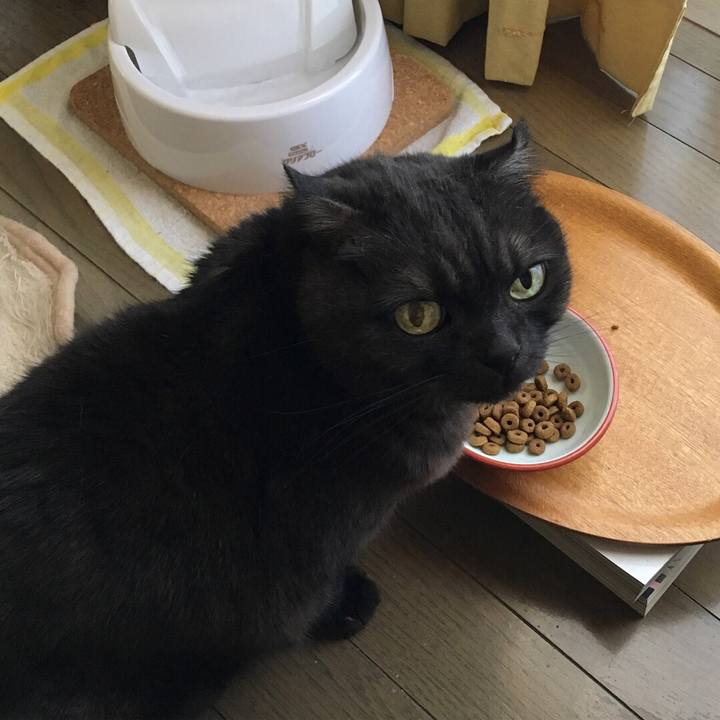 28420d44 d0e2 4023 a443 1d5a03ed4ffd 1524871835132