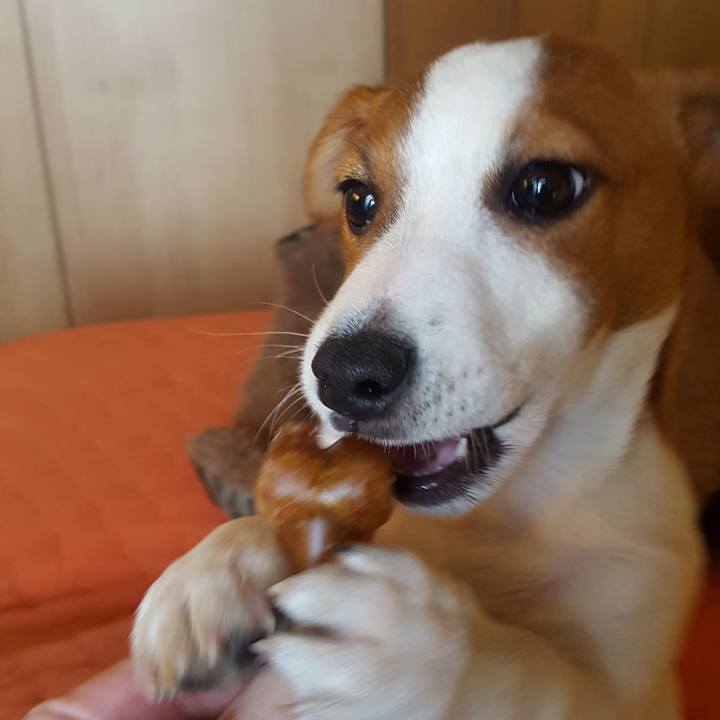 28421369 ddf7 49be 8b3f 82645dfad1b4 1552367569580