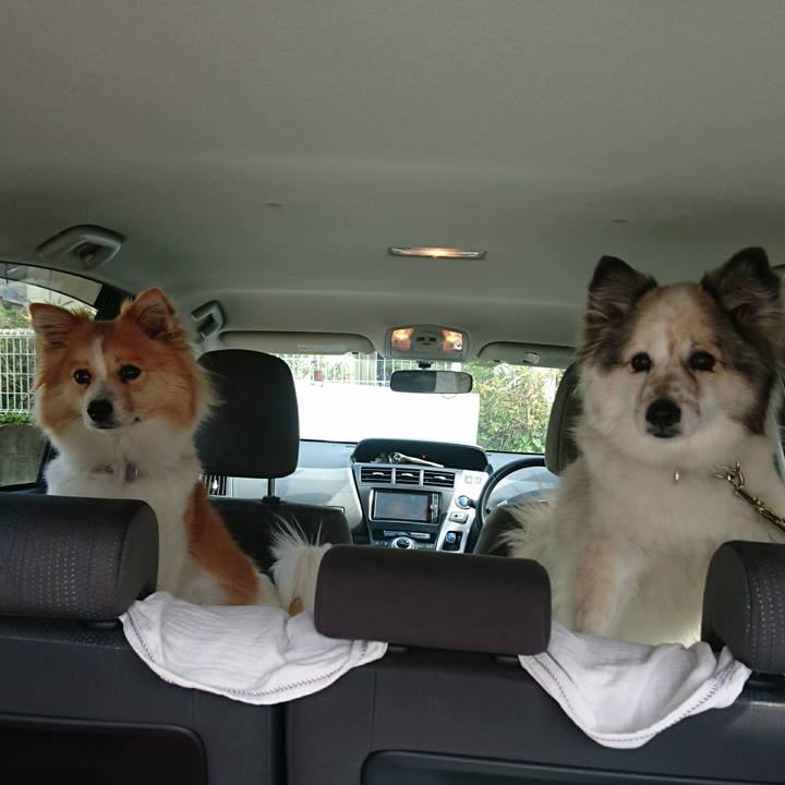 28422ac9 0ab3 4863 9340 26a5049ac64c 1587382898275