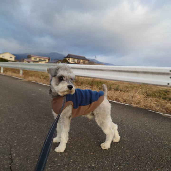 28423b11 4cb6 4b35 900e 64f008d27bf9 1765582135097