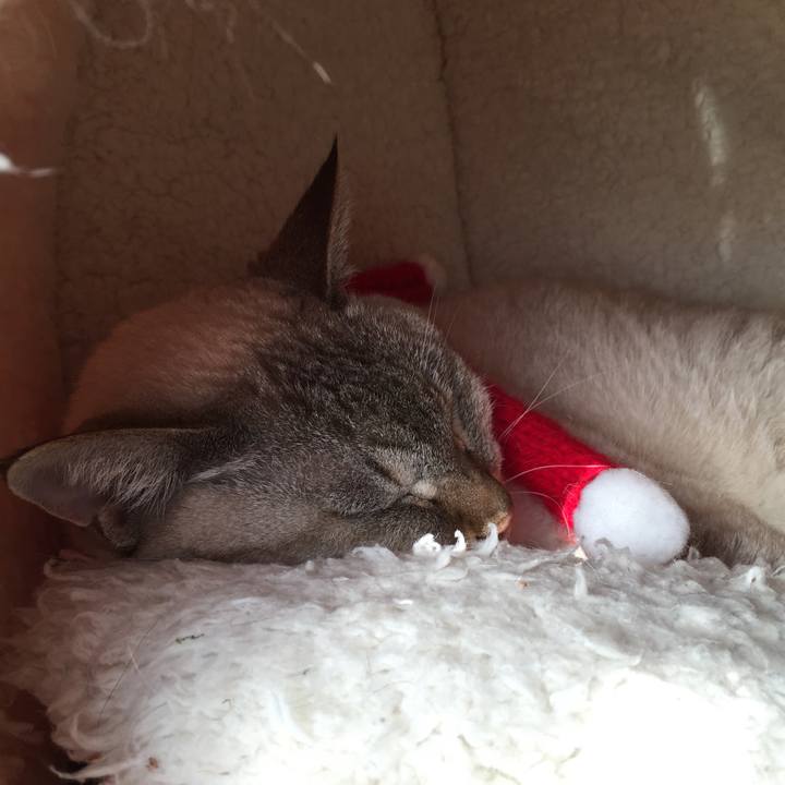 28424580 e217 4182 9587 322a1811cadb 1545449103476