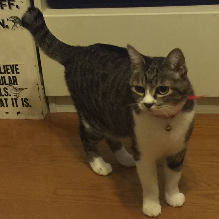 28426806 2d7d 4130 b56f 069ce0136955 1557068869138