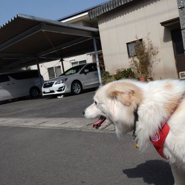 28426f38 cb06 4a63 aab4 c7821fafc9f0 1646450831694