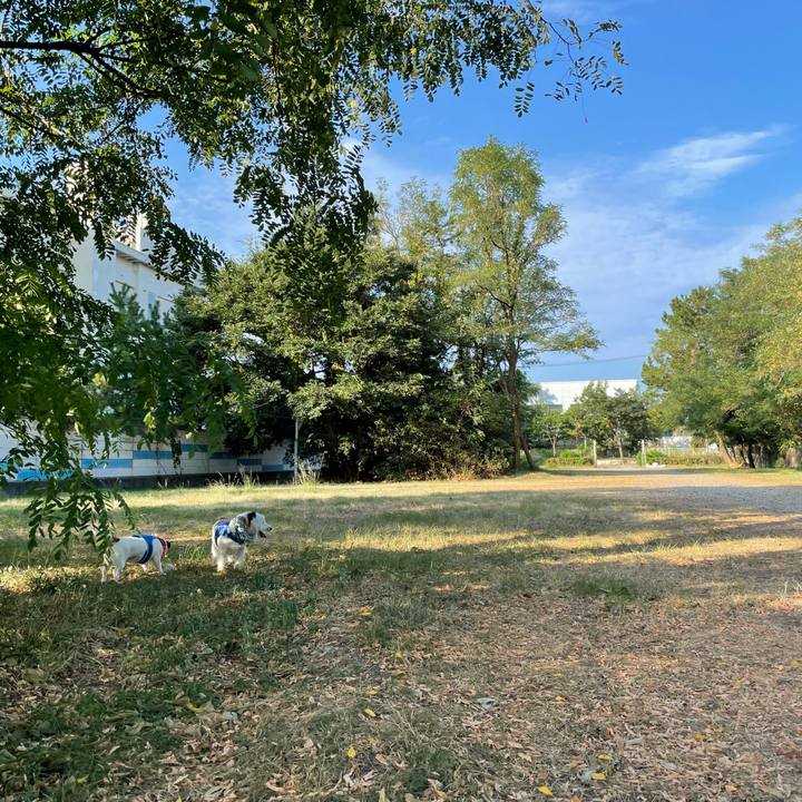 284271d7 b8fa 4cff b42e c3c35069c166 1692315082528