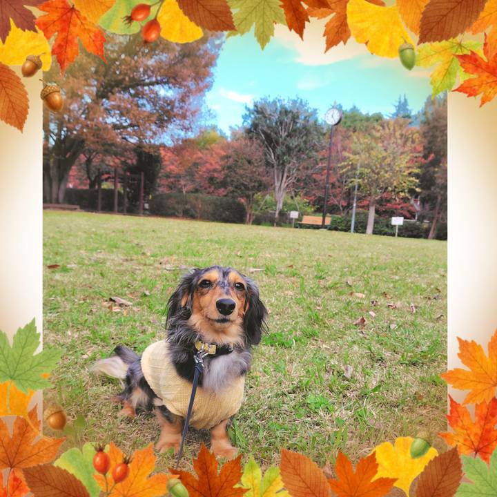 28427934 86cf 4376 b42c 1bf62daeff37 1762932184032