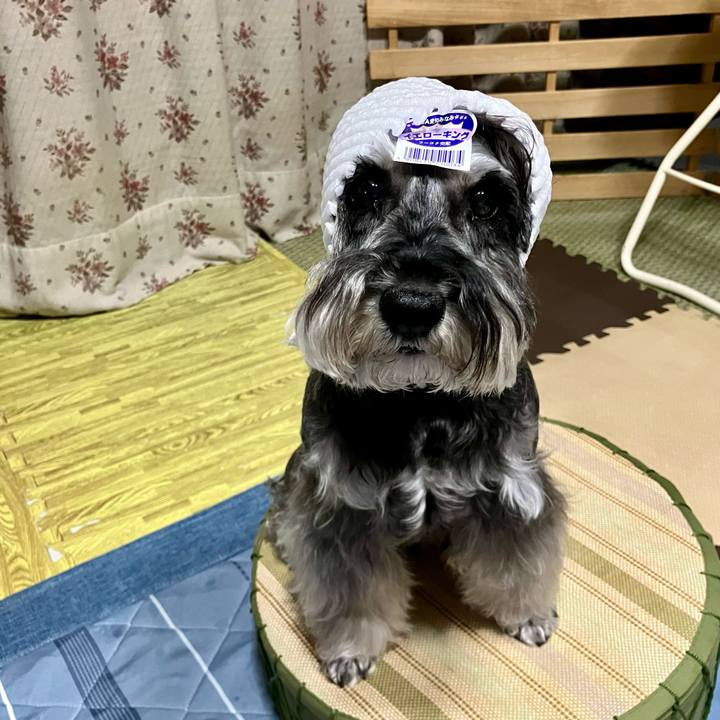 2842915f 1488 468d 9e80 b7aa6989c1f7 1720316398370