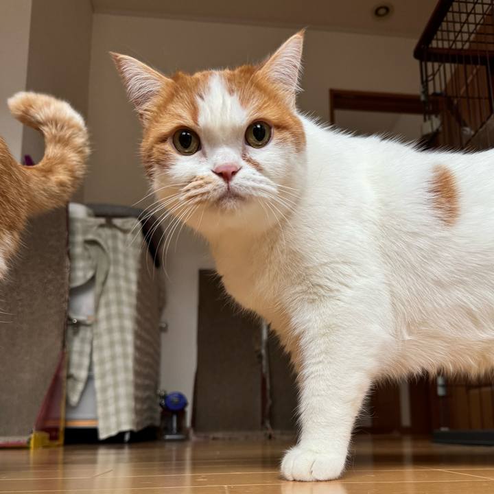 284296d7 8221 4979 8101 19049c836927 1770776731256