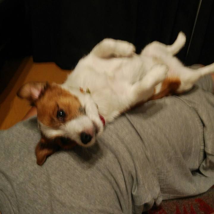 2842a5b9 94d6 4752 86cc 5c2bdb84dc33 1528891141865