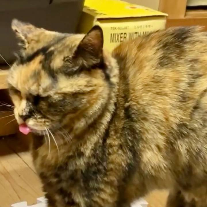 2842bed0 9f98 47a9 9c3e 4dd73f3df2ba 1737192408394