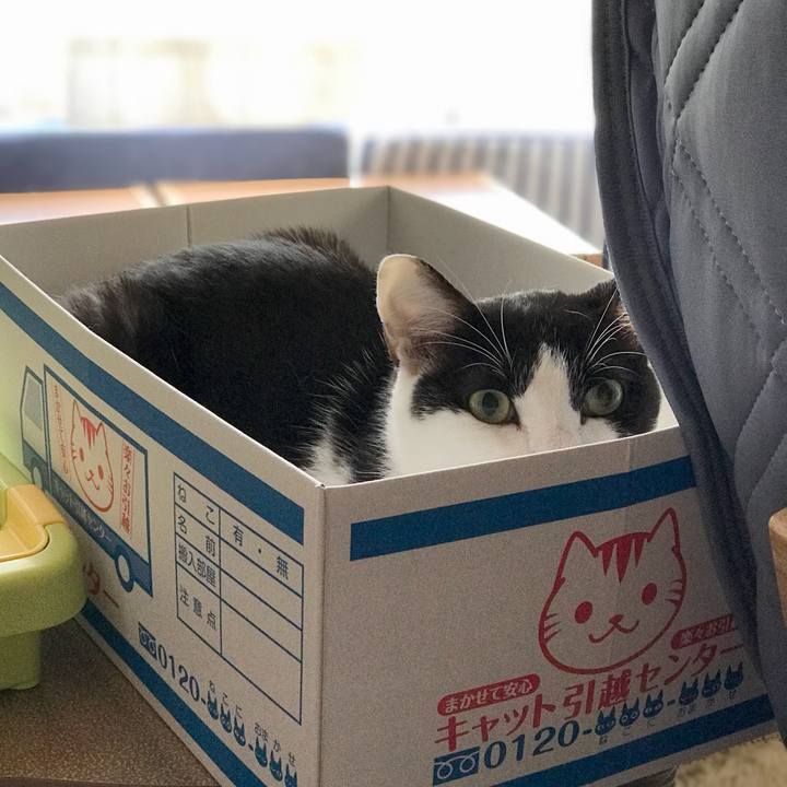 2842c571 e694 4d5c 87f3 0bc625060fcc 1536888529608