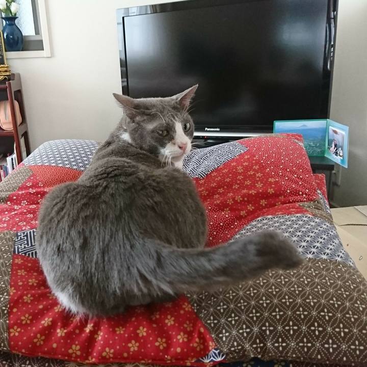 2842df45 4962 404d 87fd 5eb448e14b74 1758602835428