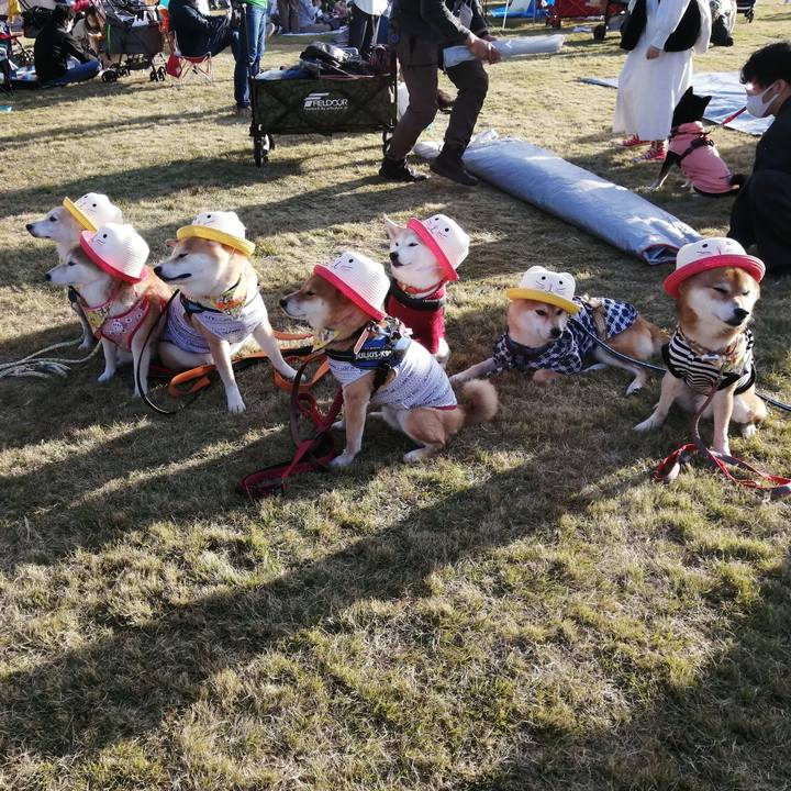 2842f79b 89a3 44db b6d4 12ab0b80c3ca 1636296709000