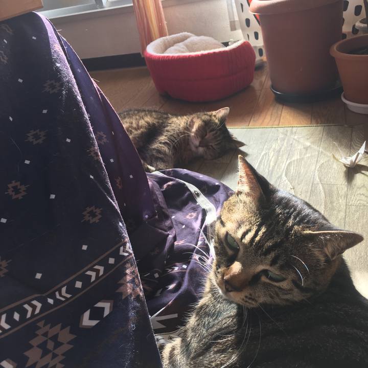 284311cc 181c 43ce 8f79 a4f43e9b3ce8 1514950061715