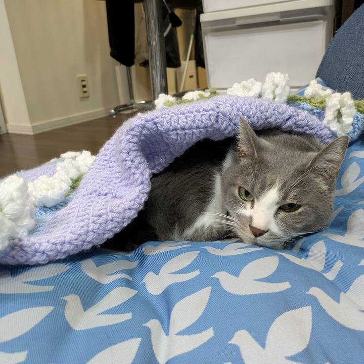 28434c3a 3843 4ac5 bba4 af8d3f8fa1f0 1764166296291