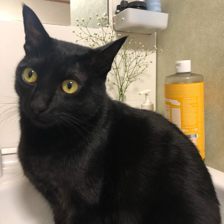 284384dd de48 461d aea5 9a39b3f89a04 1548289829002