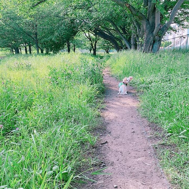 2843cafc 950a 4cc9 b0c4 91a7c90a793a 1621054253850