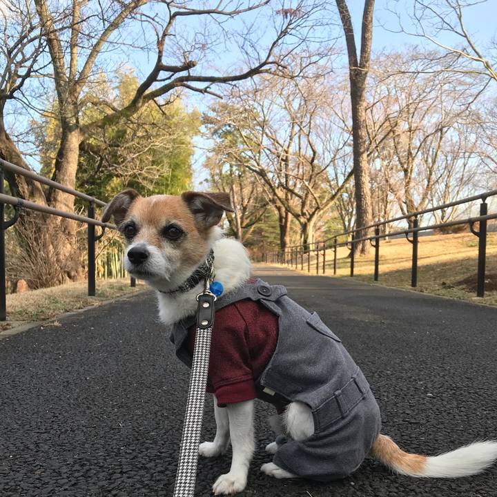 2843cc8c 7fb8 47a3 81b9 6a1468dca9d2 1580281817383