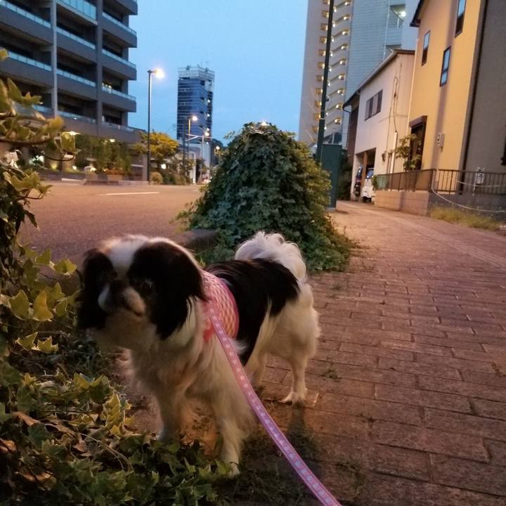 2843e43a 0532 484b a7c4 82da9505109f 1532343064471