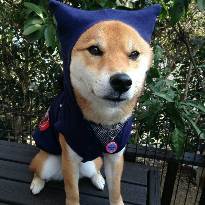 2843e6ff df5a 4ff8 81fb a2348e9e4222 1514646814726