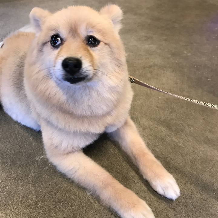 2843fc5e 0354 4264 a7a3 cabbd1a70943 1593574276387