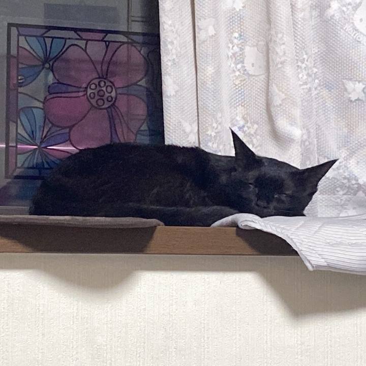 28442f21 0cce 4ea7 bb5b efb7633222d0 1659440016179