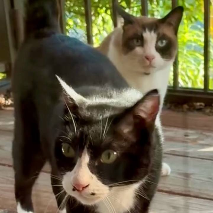 284459fd 77b0 4e39 b654 f967c6860088 1753263210861