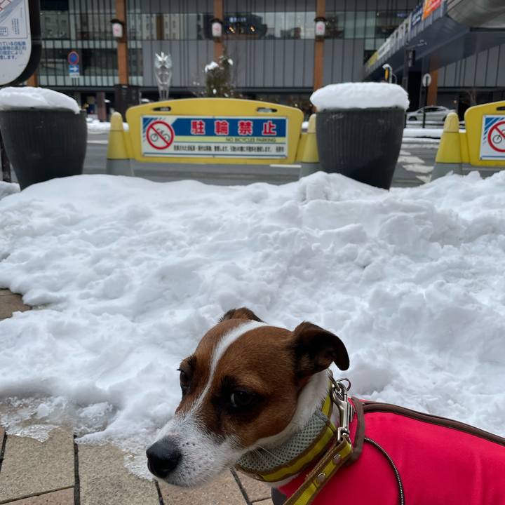 28447154 bace 479f a569 3284a9ae55a4 1642921426799