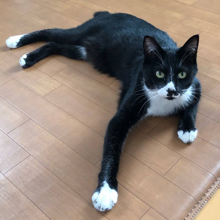 2844d623 e6e2 4192 8a33 8aa441daae95 1570358821913