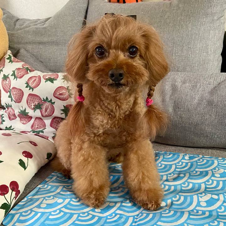 2844e3c9 9e97 4717 aa16 dc2957e70af4 1758839901731