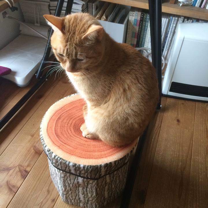 2844eee8 df78 45ae 88cf 46c96c7f62a1 1519777576249