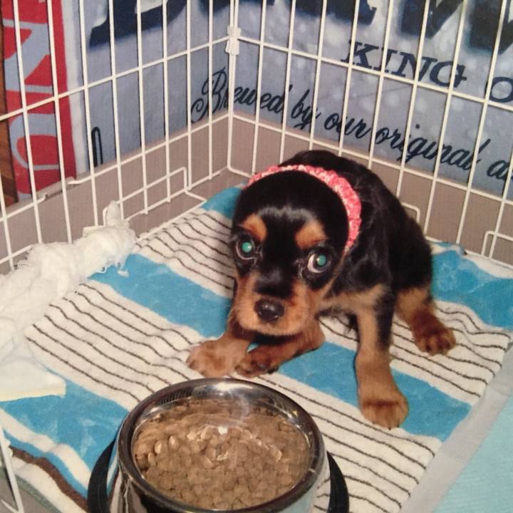 28450c00 c404 4ff8 a7ad b9ea7d12d383 1532053470756