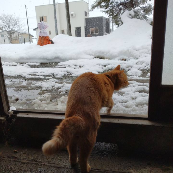 28451542 8fb5 4a3d aa6d 536a0b2885f5 1671174476300