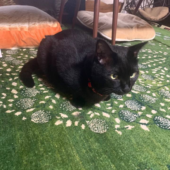 28452202 8359 409c 9f9d 596767502b8a 1594542358329