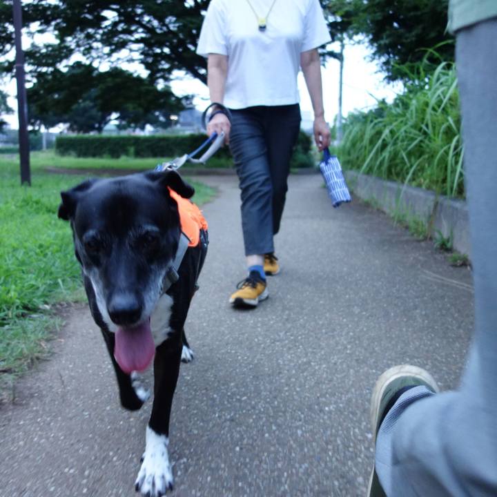 2845295c 1619 4c67 88b4 39ce479588d2 1751712333086