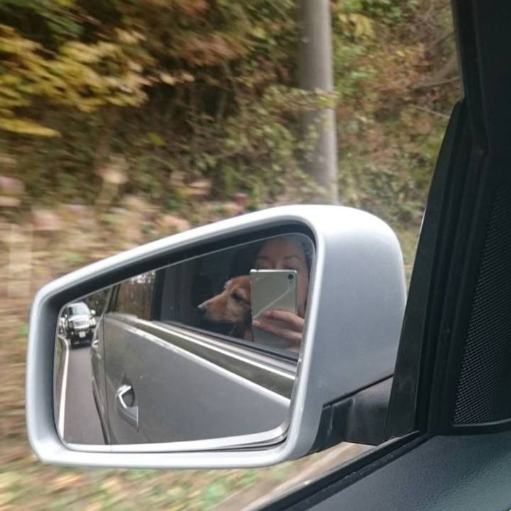 28452f5d ae66 48e6 8005 8d691b5569a4 1763654914282