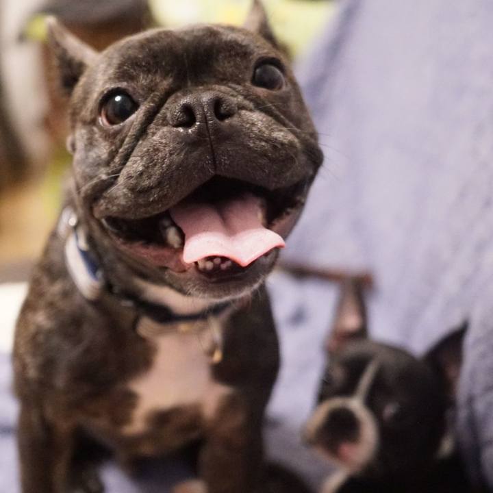 28454a20 6202 41d3 95bd c4f8230314a3 1544077503191