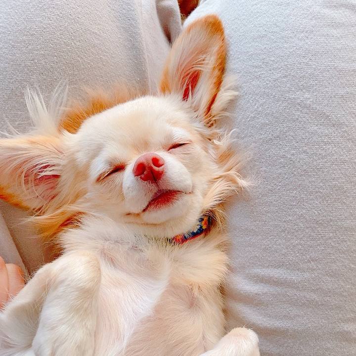 2845731a 8ac6 4e8b a154 9e624668ba7e 1635396777508