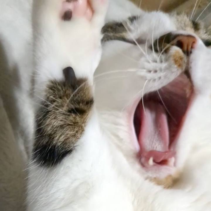 284588cd de0f 4f83 a915 7d3734e45f4a 1686656848782