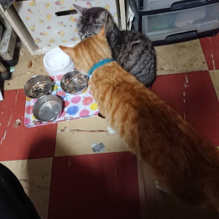 2845d00f 6579 45ad b374 2bdefcf56442 1557260132837