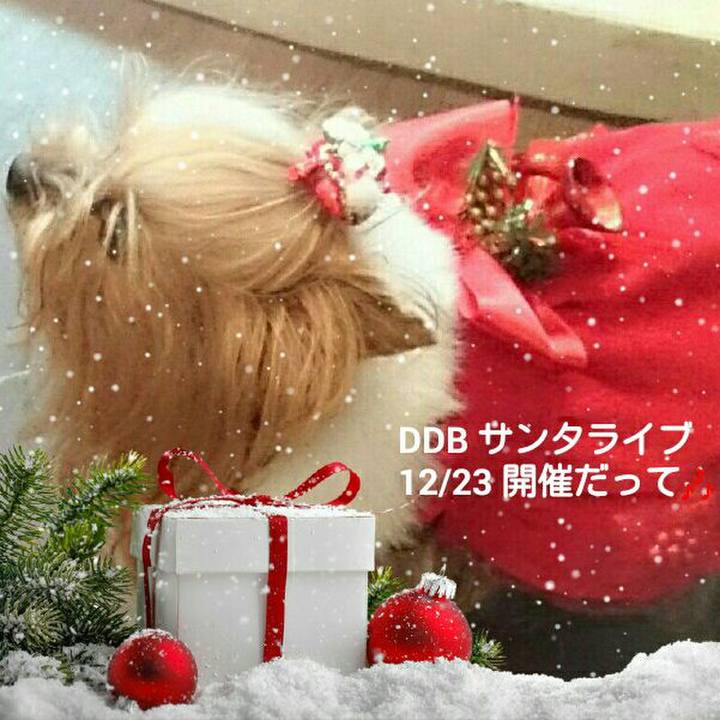 2845db53 cf5c 4603 9af3 c4bf734d05e5 1545474791809