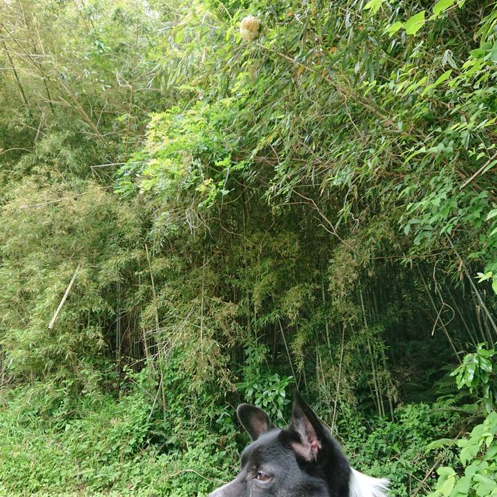 2845e97a 97bb 46fb b555 49bc4456b88d 1527472340576