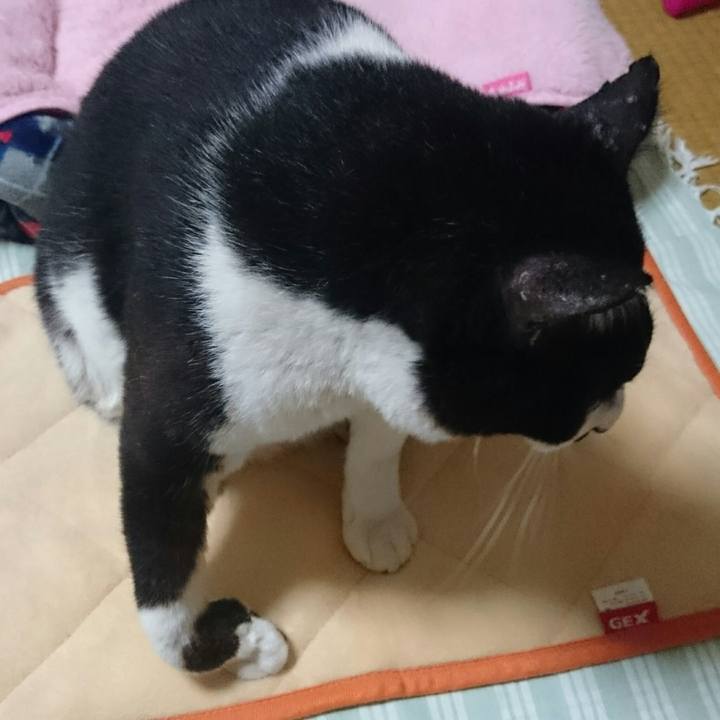 2845f03b 41ac 4c14 862d 458f47ba8e6f 1508058634964