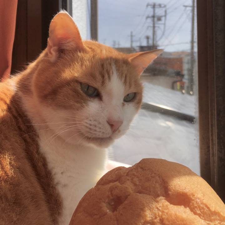 28460c6e 77fc 4558 8bdb 2f507ce0f9a2 1584947600401